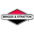 Фильтры BRIGGS-STRATTON