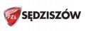Фильтры PZL SEDZISZOW