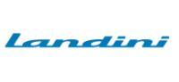 4206396 M 1 LANDINI Топливный фильтр