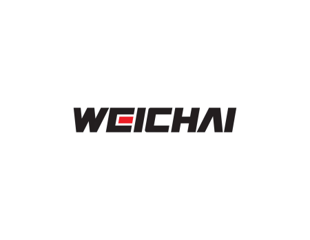 612600081335 топливный фильтр WEICHAI